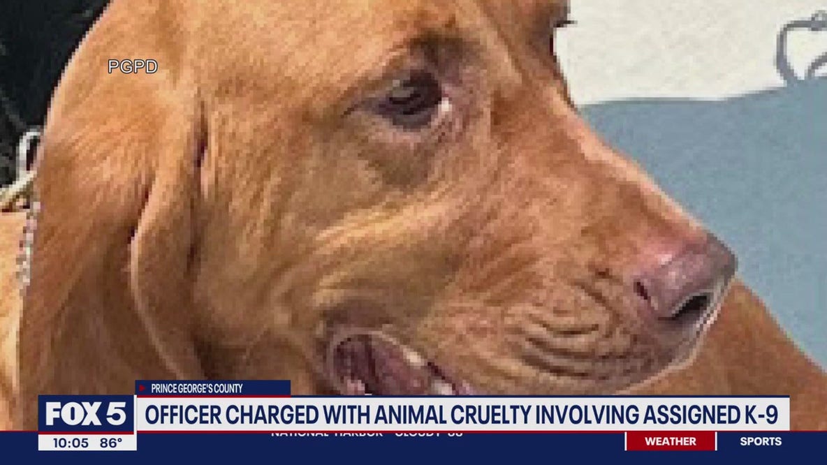 PGPD officers charged with animal cruelty on assigned K-9